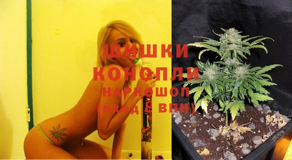 эйфоретик Аркадак
