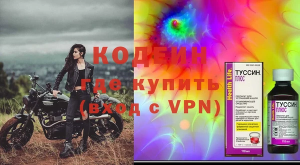 эйфоретик Аркадак