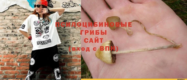 эйфоретик Аркадак