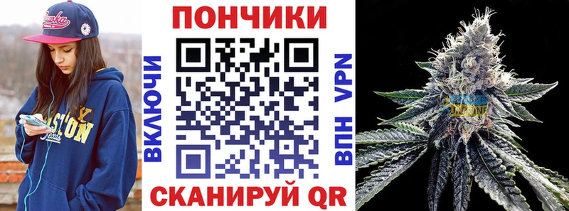Бошки Шишки THC 21%  Ельня 